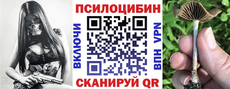 Псилоцибиновые грибы Psilocybe  Котельнич 